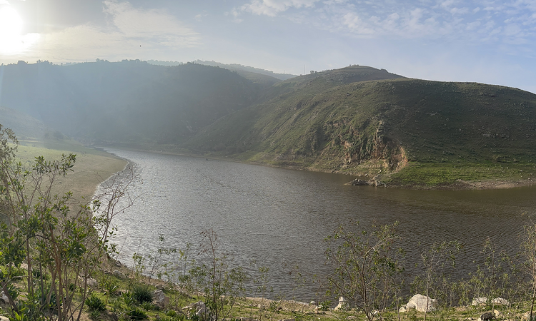 الأرصاد: أمطار الثلاثاء ترفع الموسم الحالي بنسب وصلت الى 32