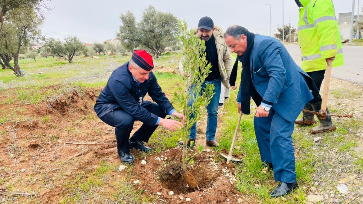 بلدية جرينة الشوابكة تطلق حملة التشجير الوطنية لتعزيز الغطاء النباتي في قضاء جرينة