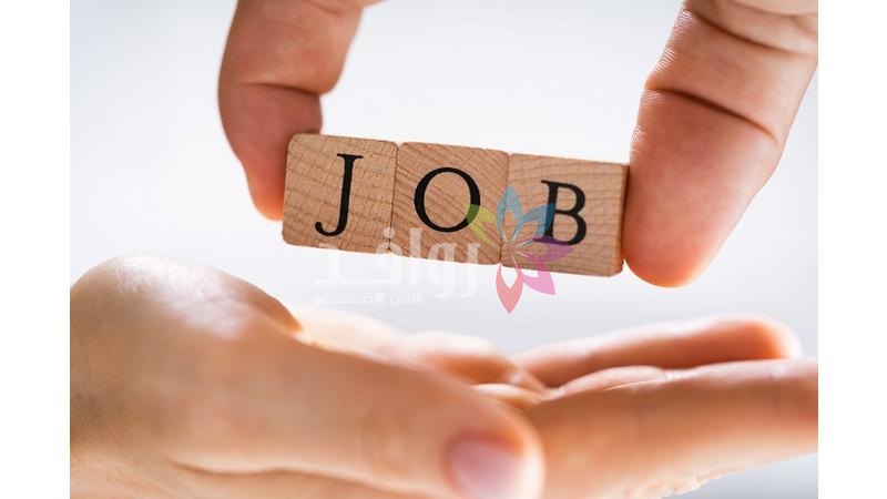 وظائف حكومية شاغرة  تفاصيل