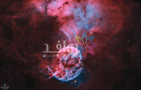 تصوير قنديل البحر في سماء أبوظبي