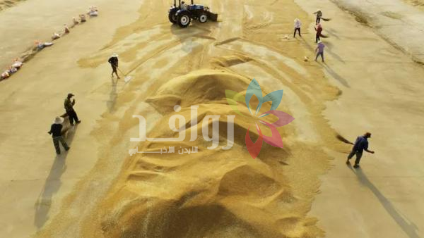 روسيا تعلن غرق سفينة محملة بالقمح بعد هجوم بمسيرة