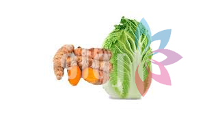 المعراض.. مدرسة حقلية لزراعة الكركم والخس الصيني