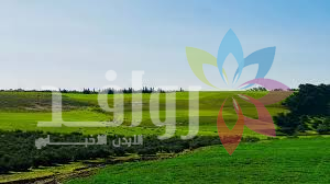 الأرصاد: أجواء ربيعية معتدلة خلال عطلة عيد الأضحى في أغلب مناطق المملكة