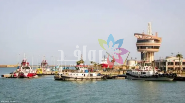 هيئة ميناء دمياط المصري: استمرار النشاط التشغيلي رغم الهجوم بطائرة مسيرة