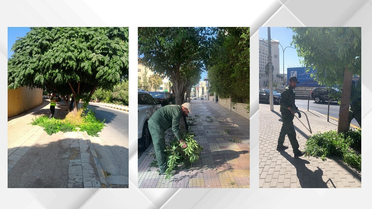 امانة عمان تطلق حملة واسعة لتاهيل الارصفة وضمان سلامة المشاة