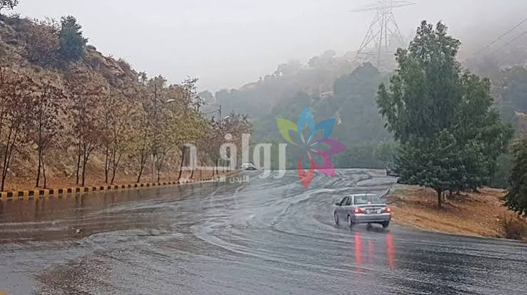الارصاد الاردنية تحذر من طقس الثلاثاء .. سيول ورعد وبرد وضباب وغبار وانزلاقات