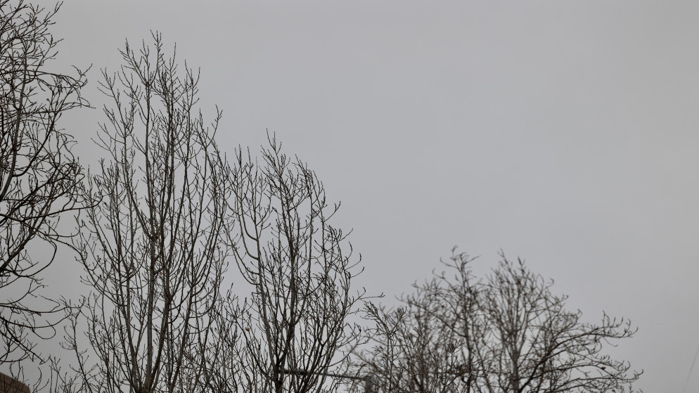 امطار رعدية غزيرة تضرب مناطق بالمملكة